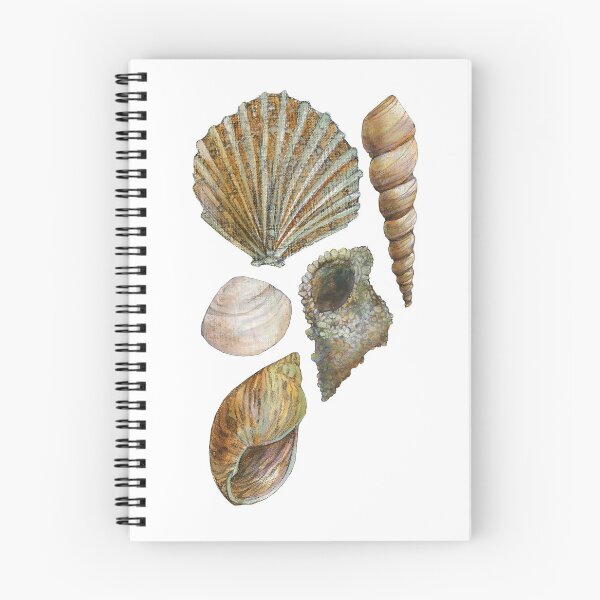 Item preview, Seashells designed and sold by Michelle Wayman.