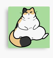 Plump Calico Cat Canvas Print