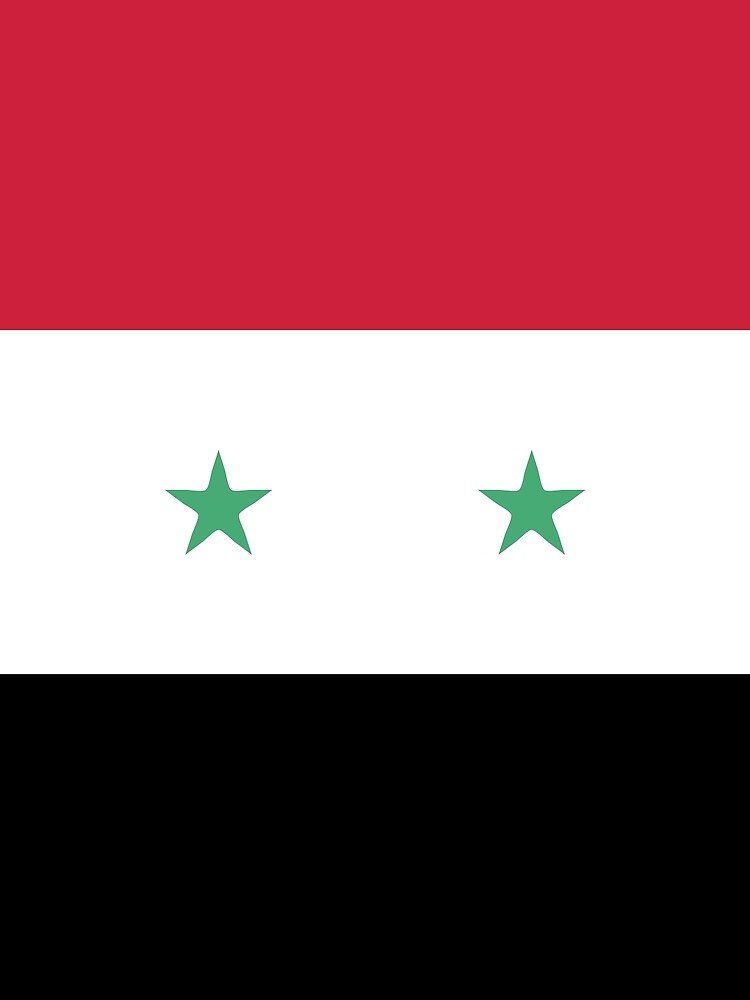 Download "Syria flag emblem" T-shirt by textures-store | Redbubble