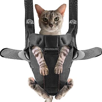 Artwork thumbnail, Cat in Baby Carrier by Del0860
