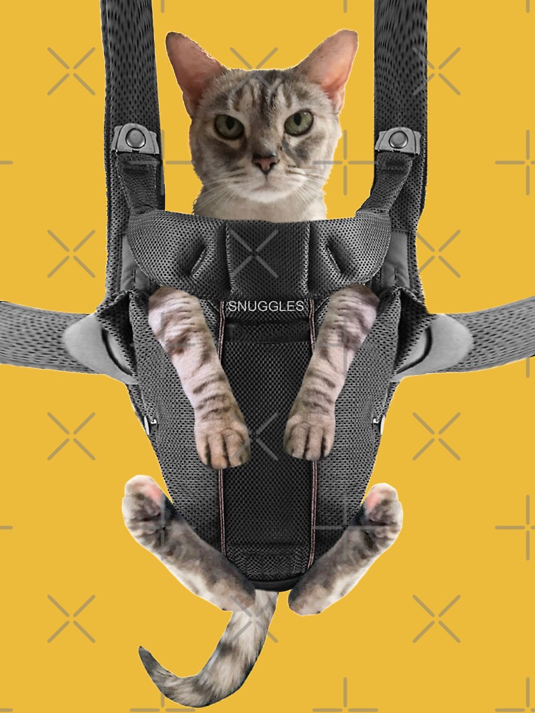 Cat in baby carrier shirt walmart best sale