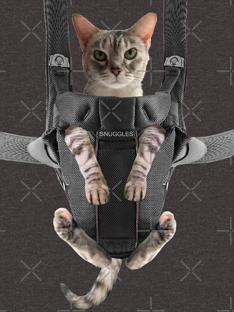 Cat bjorn carrier hotsell