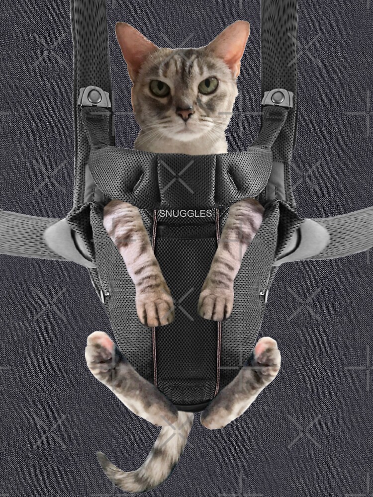 Cat in Baby Carrier Lightweight Sweatshirt