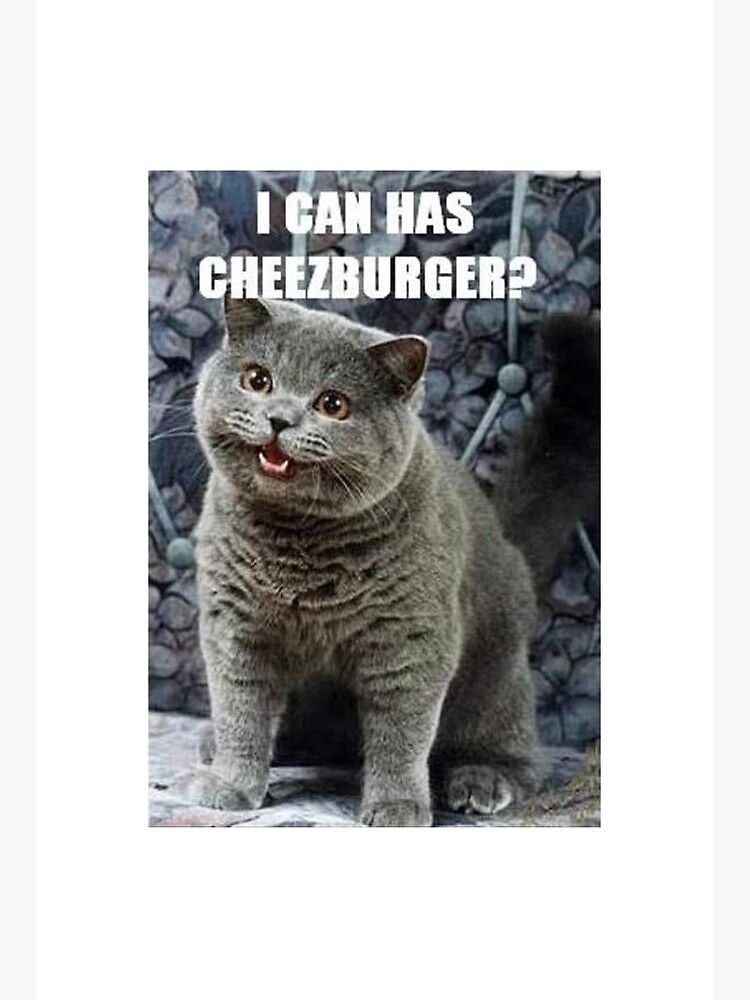 Ginger Cat Appreciation (Memes, Snaps, And Pics) - I Can Has Cheezburger?