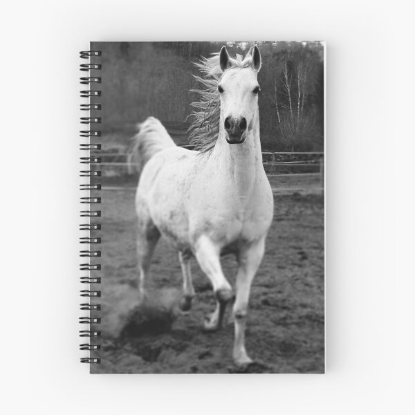 Item preview, Proud Arabian horse designed and sold by purelightimages.