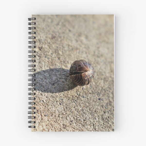 Item preview, Pill Bug-In Hiding designed and sold by Len Bomba.