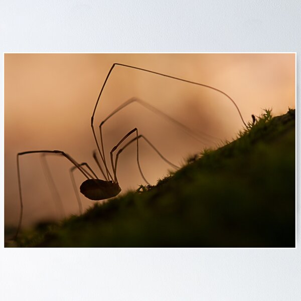Item preview, creepy silhouette designed and sold by Manon Boily.