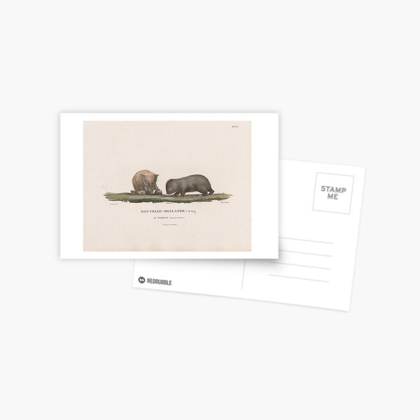 Item preview, Wombats, 1807 designed and sold by State Library of South Australia.