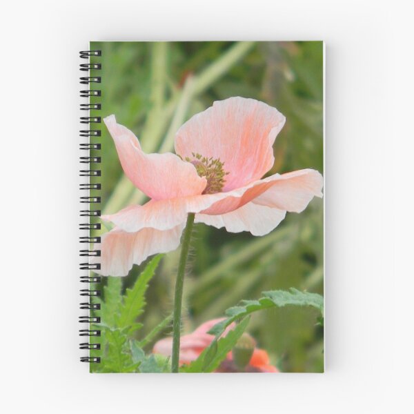 Item preview, Elegant and Lyrical designed and sold by Navigator.