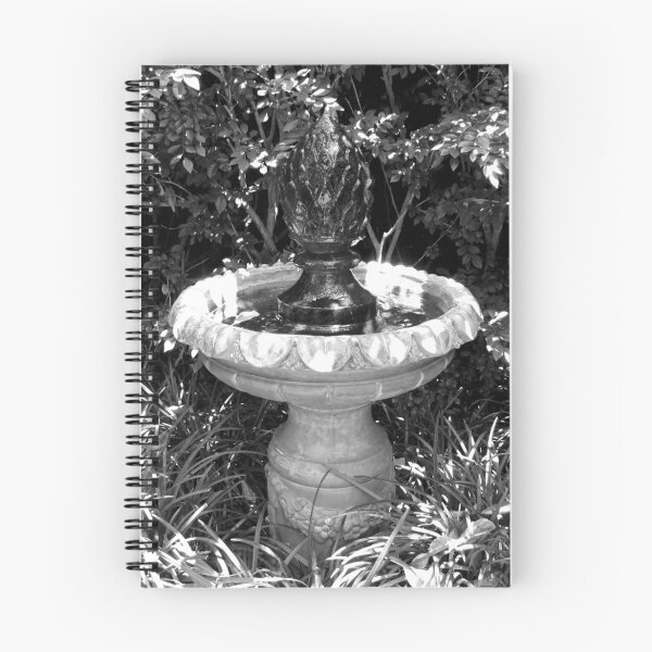 Item preview, Sunken Gardens Finial Bird-bath designed and sold by willothewispent.