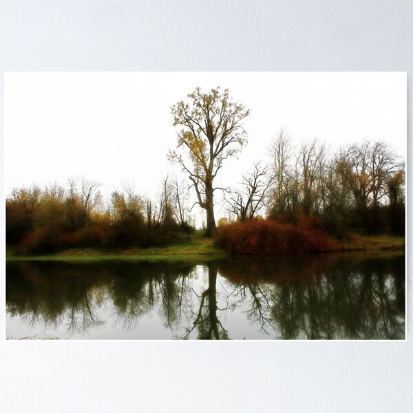 Item preview, Nations Largest CottonWood Tree designed and sold by Chappy.