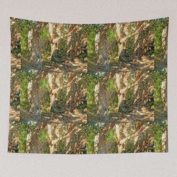 Item preview, Paperbark trees, Lennox Heads NSW designed and sold by ginnymac.