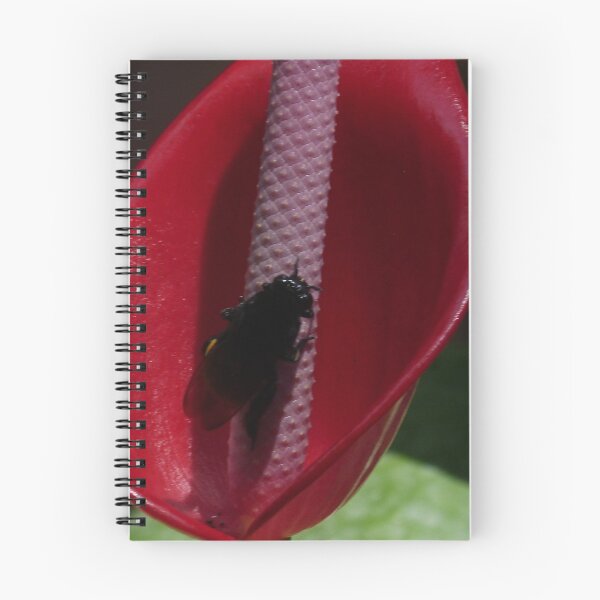 Item preview, flower and fly - flor y mosca designed and sold by Bernhard Matejka.