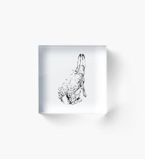 Hase Acrylblock
