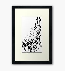 Hase Gerahmtes Wandbild