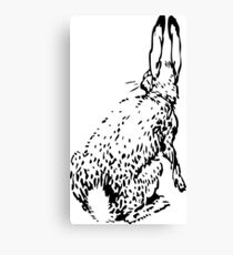 Hase Leinwanddruck