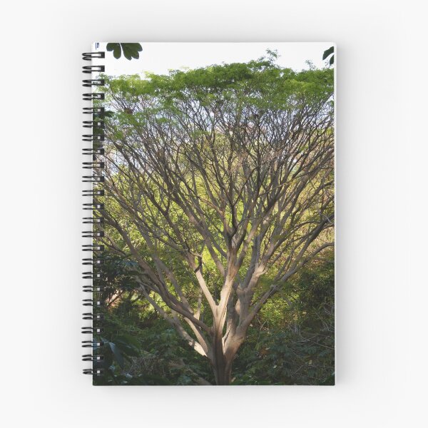 Item preview, one tree - un arbol designed and sold by Bernhard Matejka.