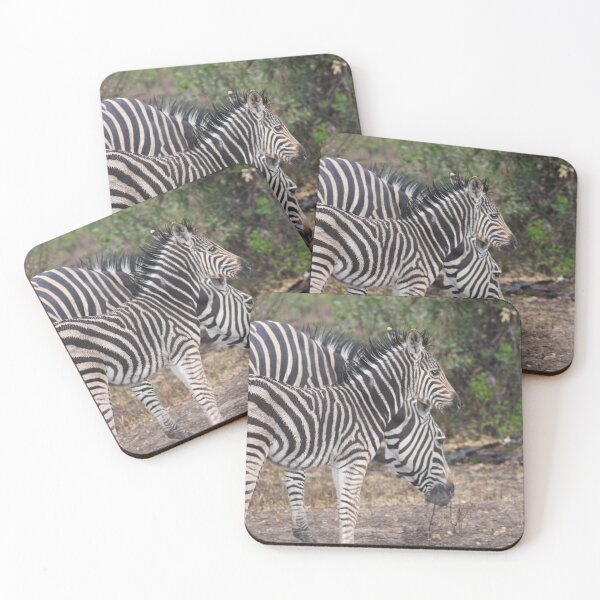 Item preview, Baby zebra with mother designed and sold by LitchiArt.