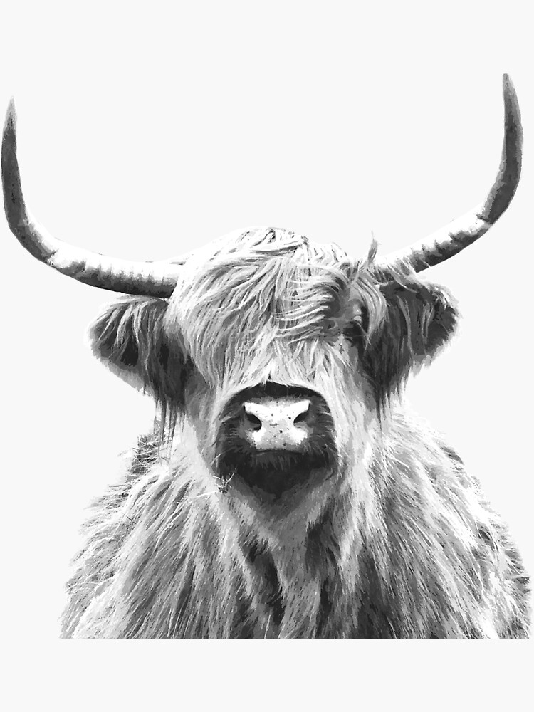 "Black and White Highland Cow" Sticker for Sale by Alemi Redbubble