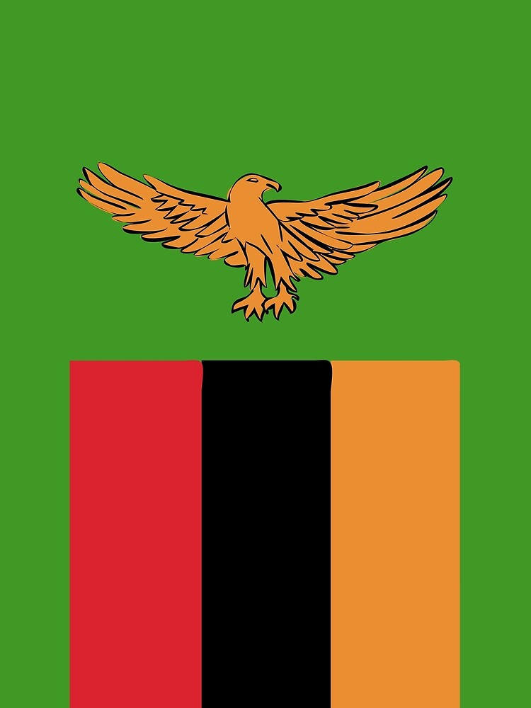 Download "Zambia flag emblem" T-shirt by textures-store | Redbubble