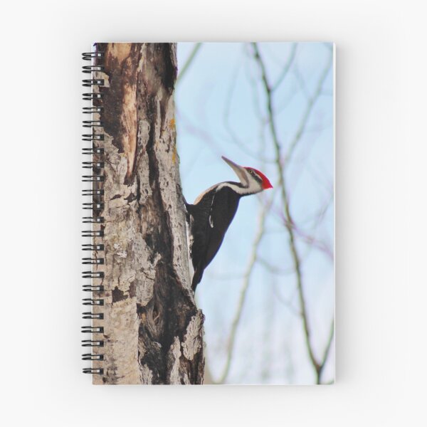 Item preview, Pileated Woodpecker designed and sold by Kathleen Daley.