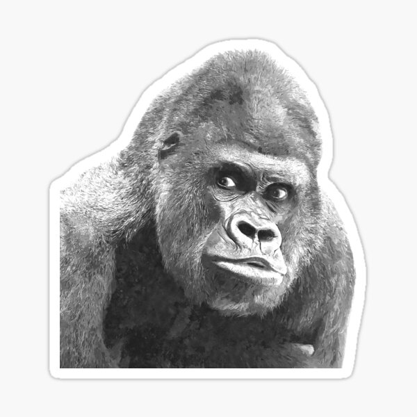 Black and White Gorilla Sticker