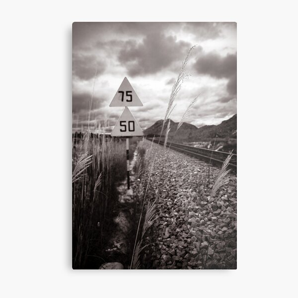 Out Of The Blues Metal Print