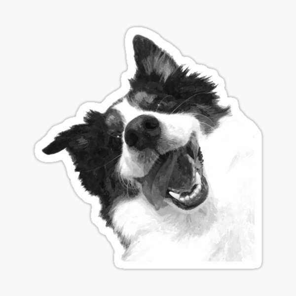 Black and White Happy Dog Sticker