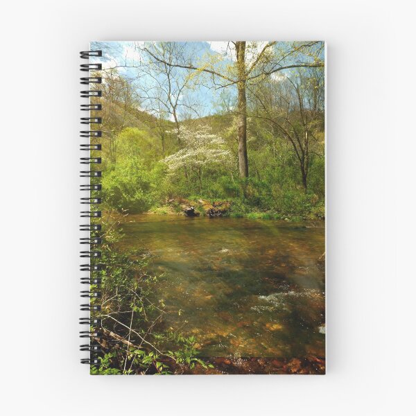 Item preview, North Carolina Mountain Spring designed and sold by Elizabeth "Tibby" Steedly.