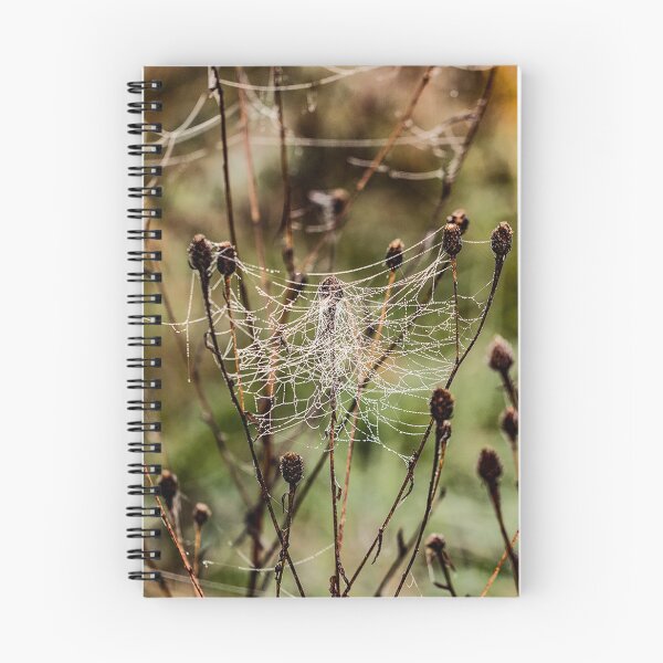 Item preview, Jump out web sunrise designed and sold by Joe Gillbanks.