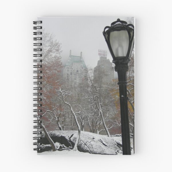 Item preview, Central Park In Winter designed and sold by BCB67.