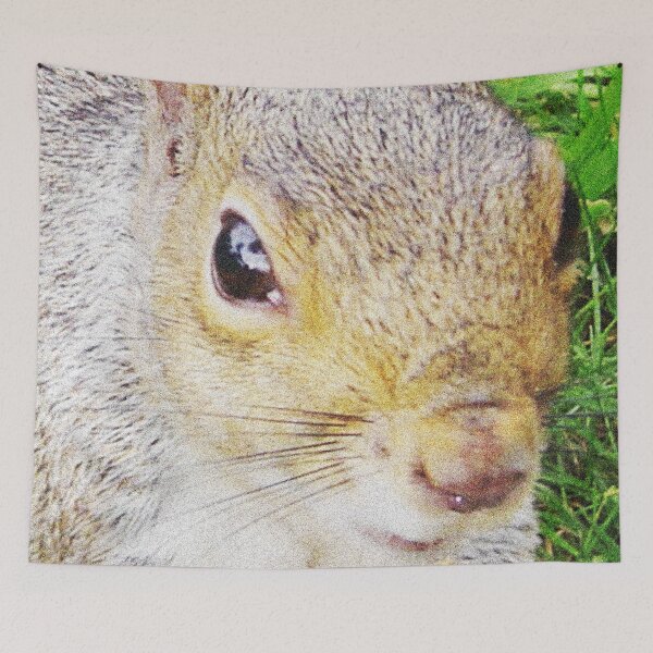 Item preview, The many faces of Squirrel 2 designed and sold by ellenhenry.