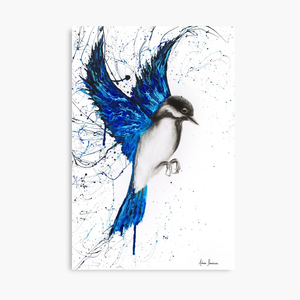 Blue Jay Bird print by Ashvin Harrison