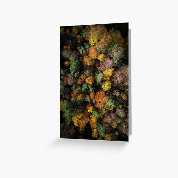 Item preview, Autumn Forest - Aerial Photography designed and sold by Nicklas81.