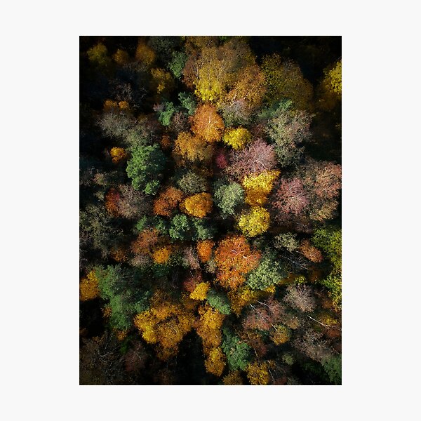 Item preview, Autumn Forest - Aerial Photography designed and sold by Nicklas81.