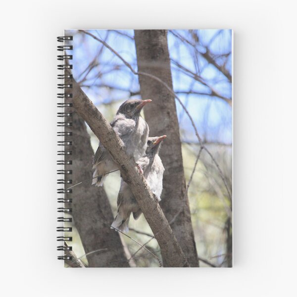 Item preview, Little Wattlebird fledglings designed and sold by NanaRusty.