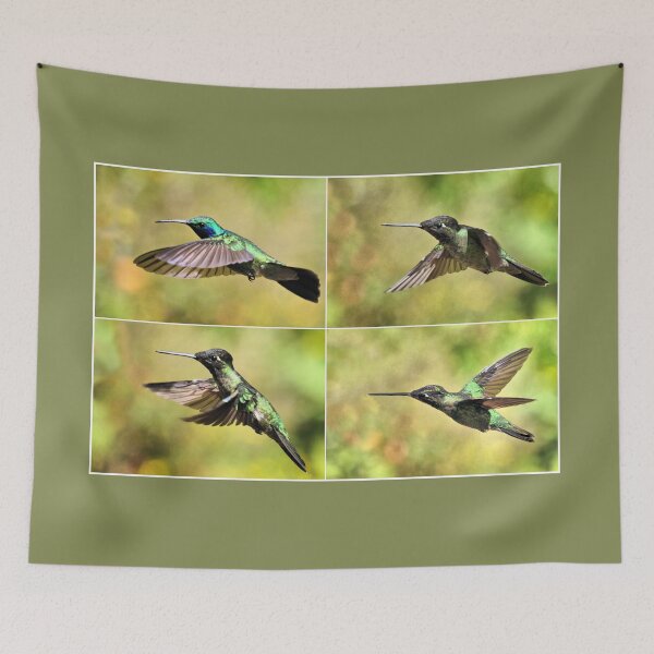Item preview, Green Violetear and Magnificent Hummingbirds, Costa Rica designed and sold by Geoffrey Higges.