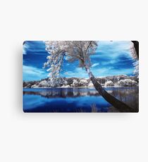 The Lake Canvas Print