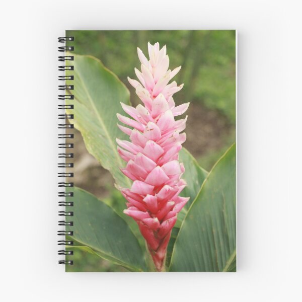 Item preview, Pink Flower designed and sold by Seth Bowman.