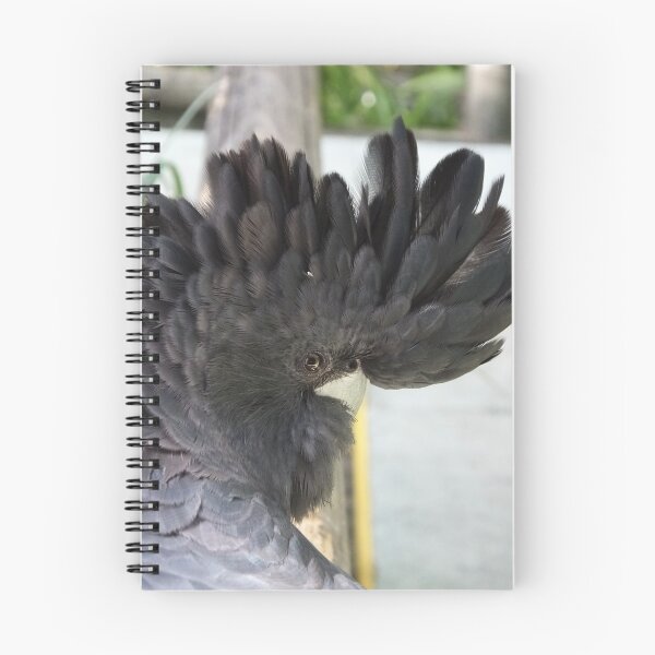 Item preview, Red-Tailed Black Cockatoo designed and sold by Martina Nicolls.