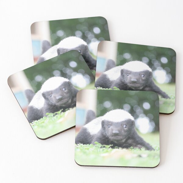 Item preview, Baby honey badger designed and sold by LitchiArt.