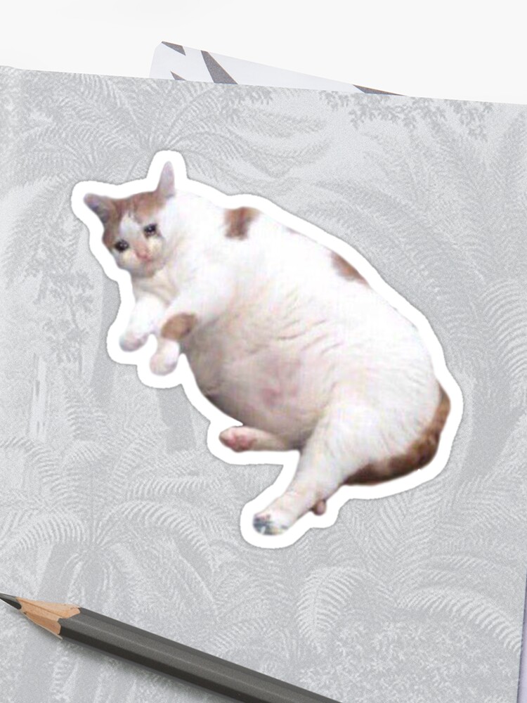 Gatito Llorando Sticker