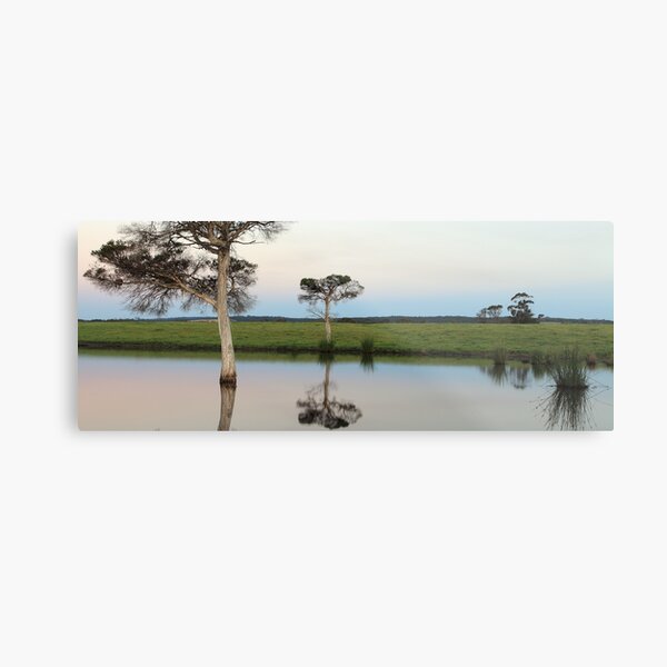 Calm Metal Print