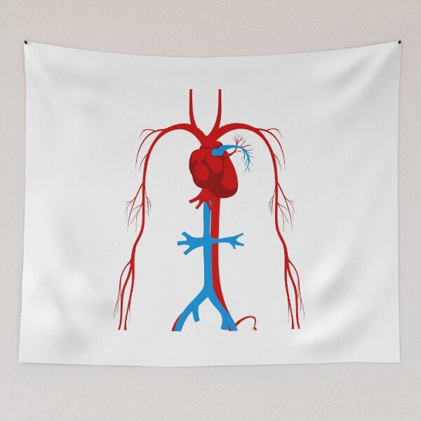 Item preview, arteries designed and sold by SAUHER.