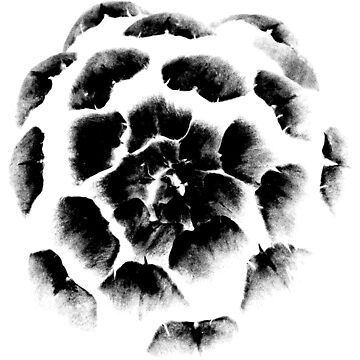 Vorschaubild zum Design Artischocke schwarz von lathspell