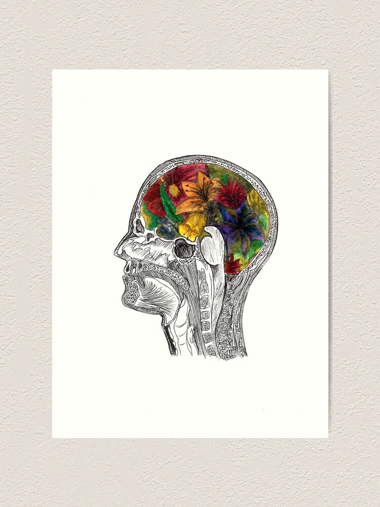 Mri Hirnbluten Neurowissenschaft Kunst Medizinische Kunst Kunstdruck Von Terouz Redbubble