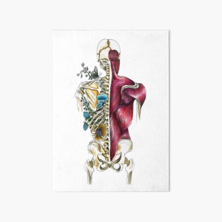 Human Skeleton Flora & Fauna - Skeletal Flower Anatomy - Anatomy Art Art Board Print