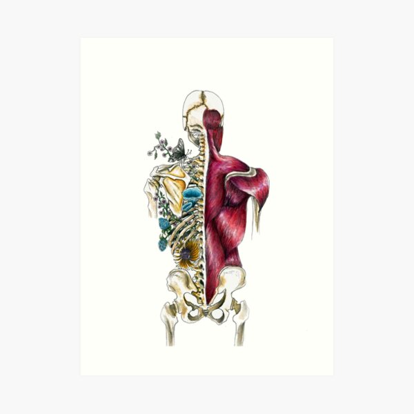Human Skeleton Flora & Fauna - Skeletal Flower Anatomy - Anatomy Art Art Print