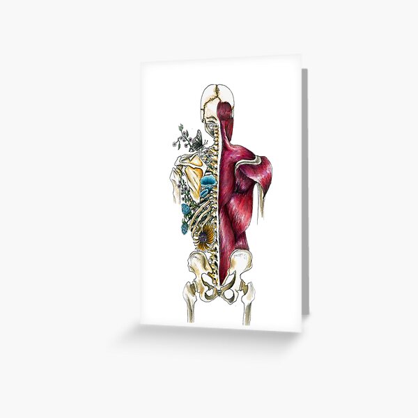 Artikel-Vorschau von Menschliche Skelettflora und -fauna - Anatomie der Skelettblume - Anatomiekunst, designt und verkauft von Terouz.