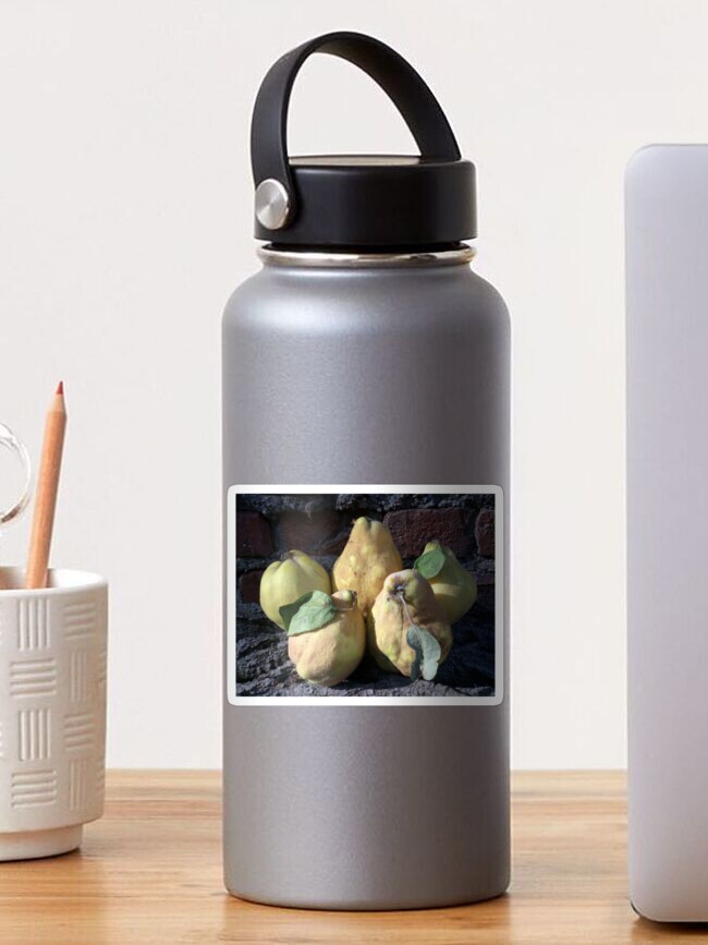 Thumbnail 1 von 3, Sticker, Quitten designt und verkauft von Gourmetkater.